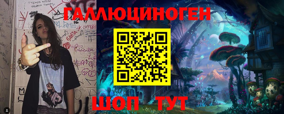 Псилоцибиновые грибы Psilocybe Северобайкальск