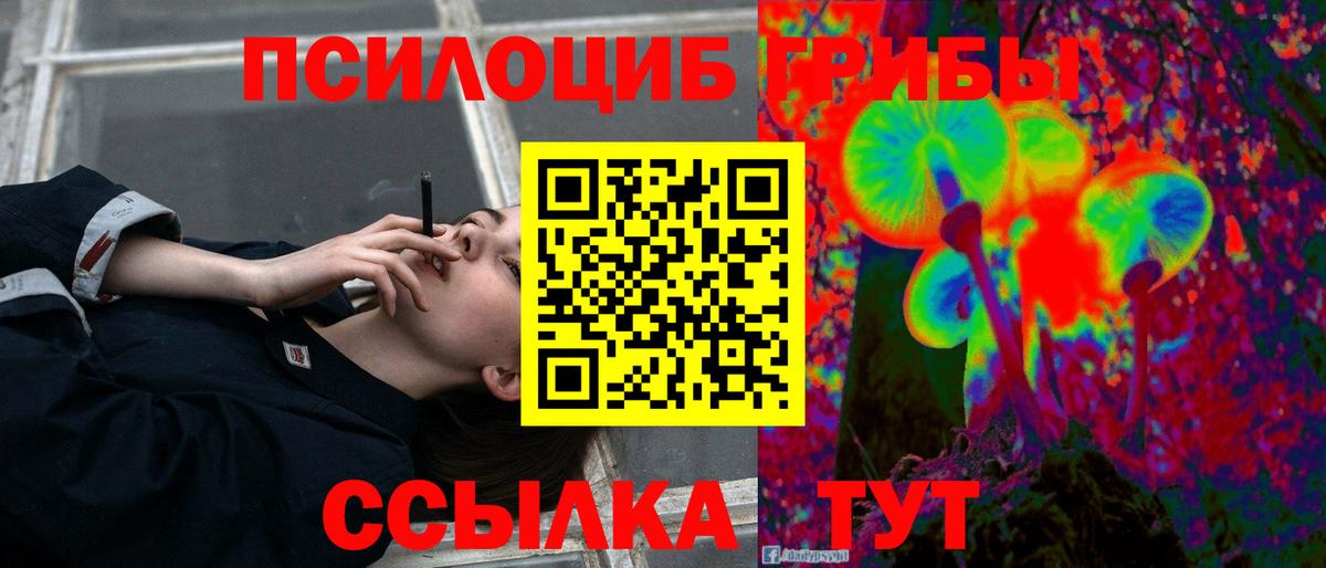 Галлюциногенные грибы Cubensis  Вход с VPN  Северобайкальск 